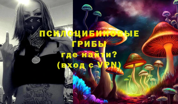 герыч Каменка