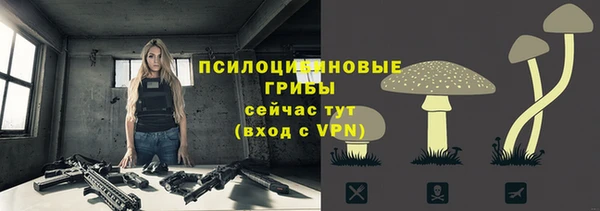 дживик Карпинск