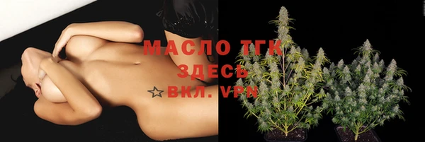 дживик Карпинск