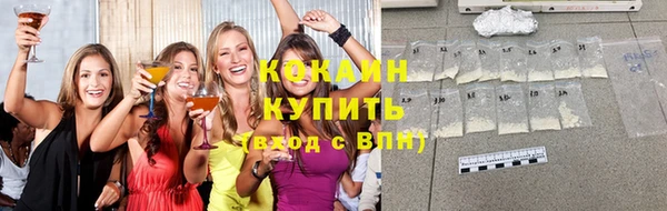 дживик Карпинск